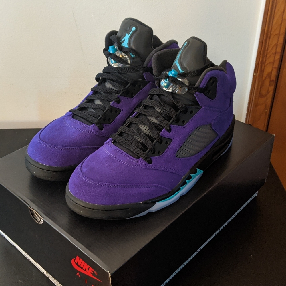 (NWOT) Jordan 5 Alternate Grape